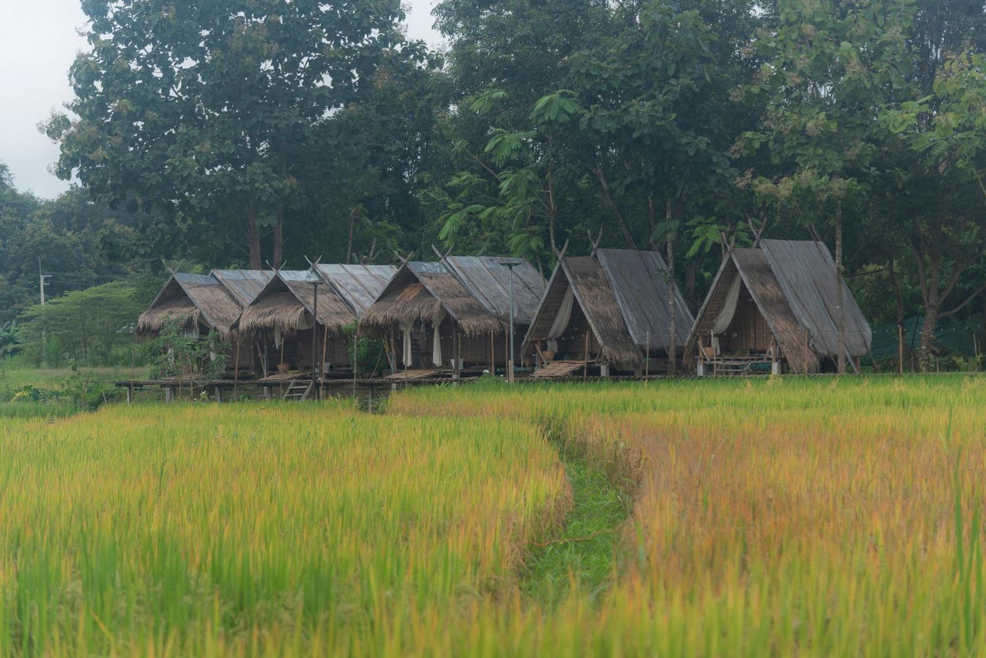 Paddy Fields Haven - Natures Nest Пай Экстерьер фото
