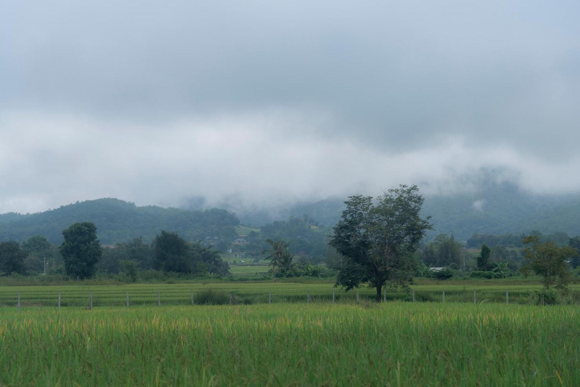 Paddy Fields Haven - Natures Nest Пай Экстерьер фото