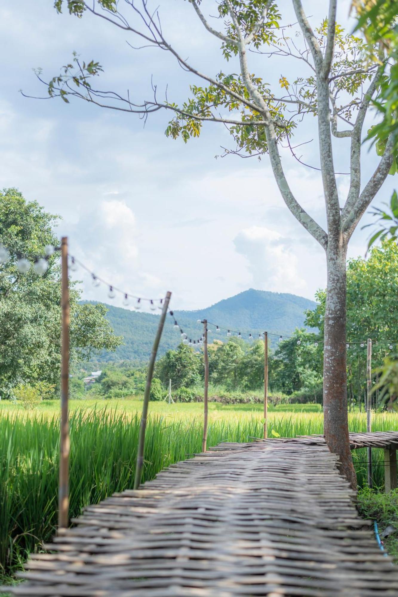 Paddy Fields Haven - Natures Nest Пай Экстерьер фото
