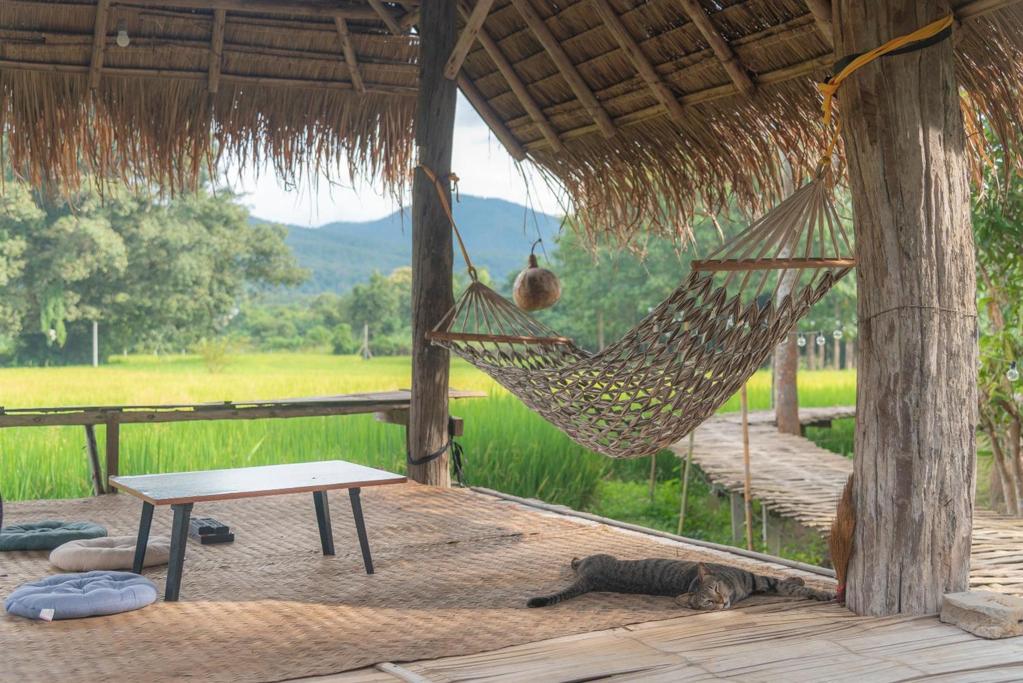 Paddy Fields Haven - Natures Nest Пай Экстерьер фото