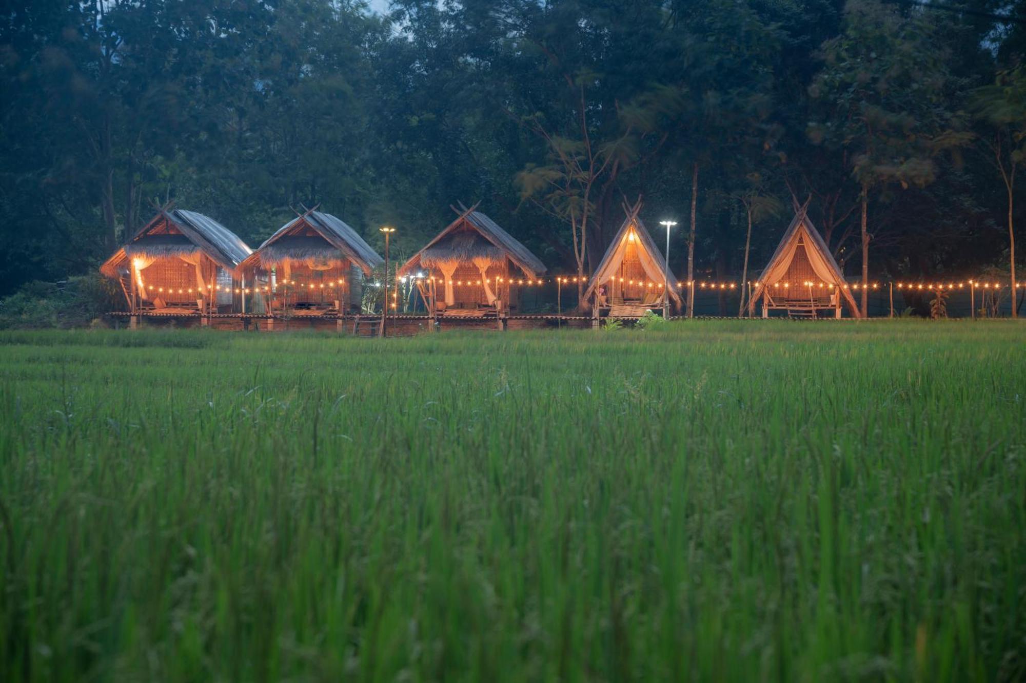 Paddy Fields Haven - Natures Nest Пай Экстерьер фото